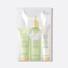 Mary Kay Satin Hands Pampering Set (White Tea & Citrus)
